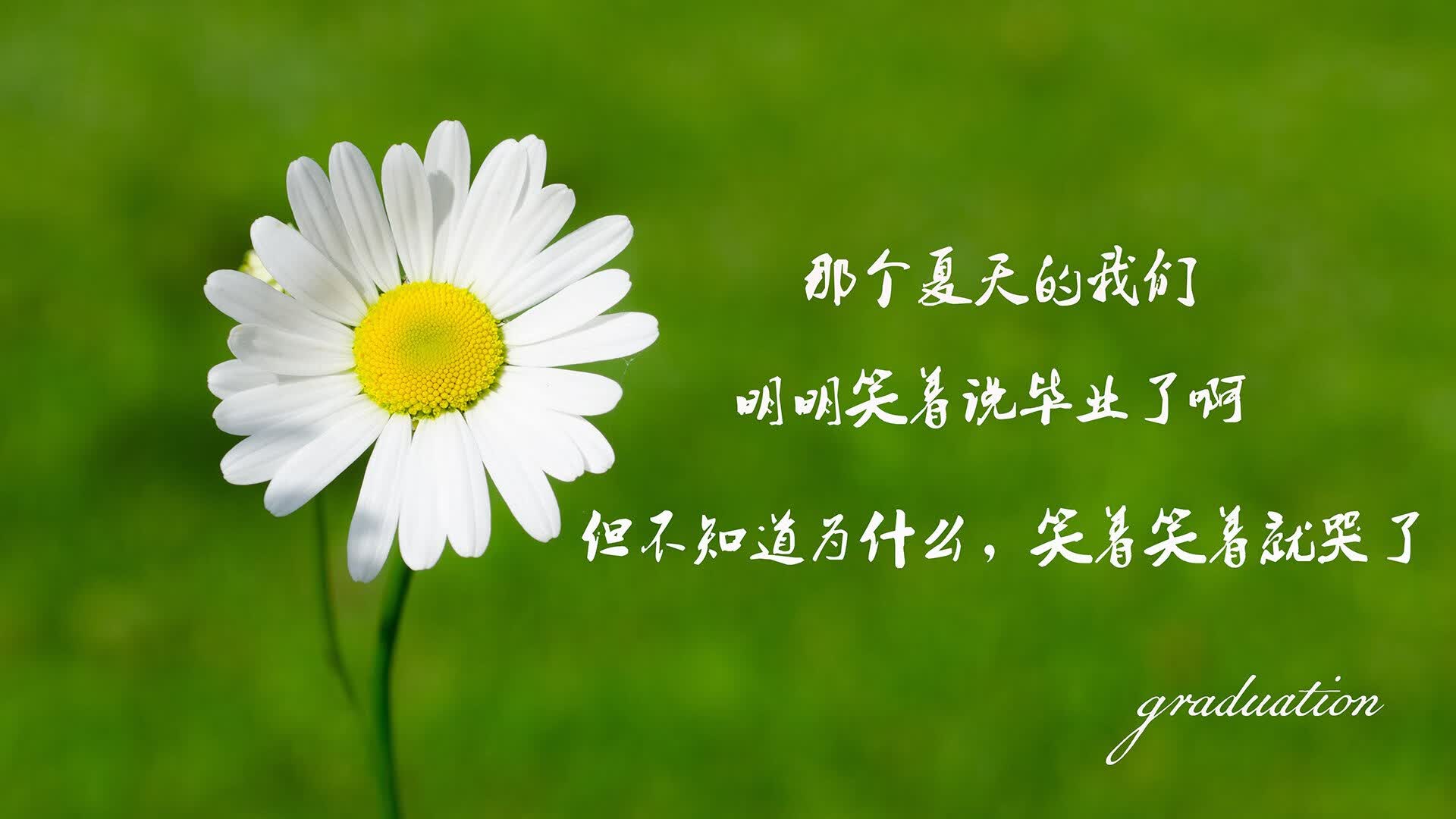 2026 职场男性健身指南:为什么“核心训练”比“撸铁”更能缓解久坐腰痛?
